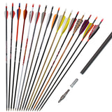 Customizable Pure/Mixed Carbon Arrows with Turkey Feather and Screw-in Field Tip