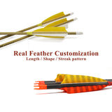 Customizable Pure/Mixed Carbon Arrows with Turkey Feather and Screw-in Field Tip