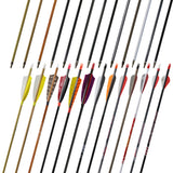 Customizable Pure/Mixed Carbon Arrows with Turkey Feather and Screw-in Field Tip